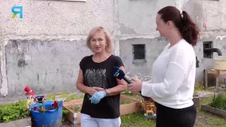 Как Надымчане Превращают Дворы в Уютные Огороды