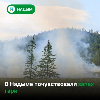 Три природных пожара в Надымском районе: что нужно знать