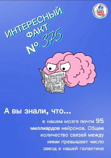 Как сохранить здоровье мозга: советы на Всемирный день мозга