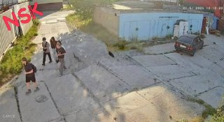 Подростки повредили имущество на частной территории в Холмогорах