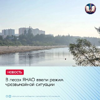 На Ямале введен режим ЧС из-за лесных пожаров
